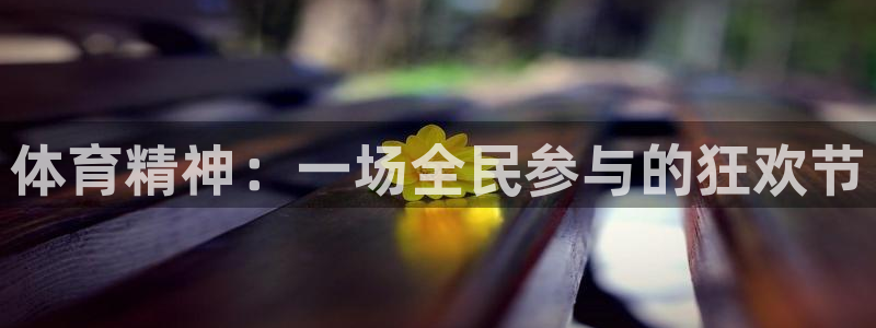 MK体育官网下载招商电话：体育精神：一场全民参与的狂