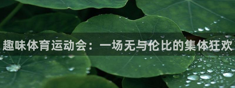 MK体育官方集团官网：趣味体育运动会：一场无与伦比的