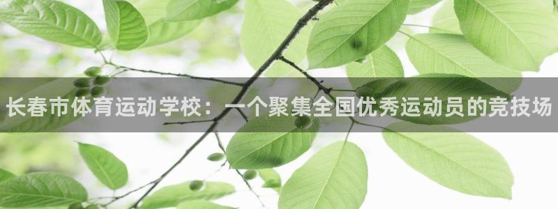 MK体育官网下载联系电话：长春市体育运动学校：一个聚