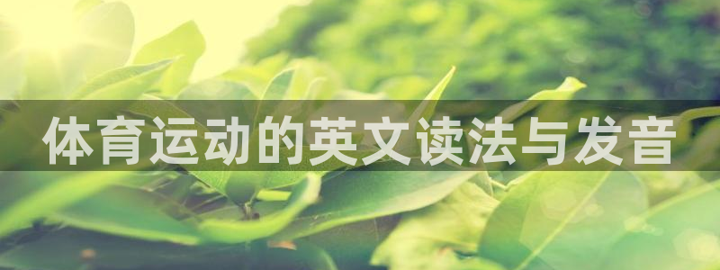 MK体育官网下载招商电话号码是多少：体育运动的英文读