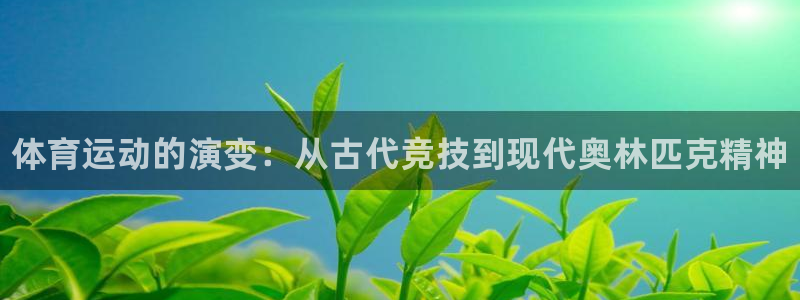 MK体育官网下载平台是正规平台吗知乎：体育运动的演变