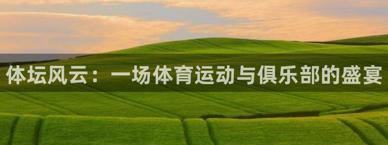 德国MK体育官方正版app集团：体坛风云：一场体育运