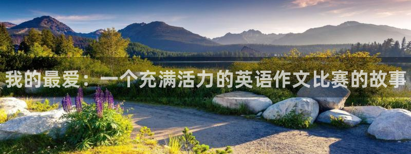 MK体育官方正版app娱乐代理怎么样：我的最爱：一个