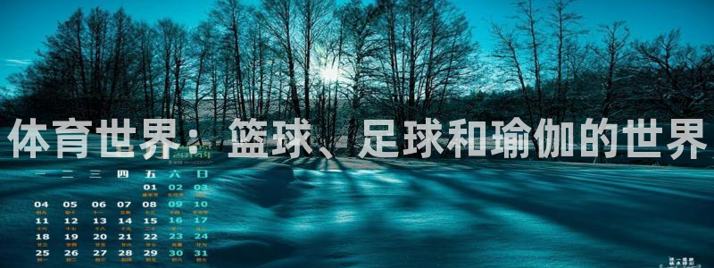 海南MK体育官网下载发展怎么样：体育世界：篮球、足球
