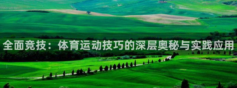 MK体育官网下载招商电话号码：全面竞技：体育运动技巧
