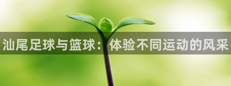 MK体育官方正版app娱乐：汕尾足球与篮球：体验不同