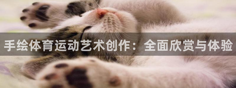 MK体育官网下载招商电话号码是多少啊：手绘体育运动艺