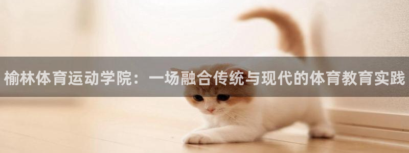 MK体育官网下载招商电话是多少：榆林体育运动学院：一