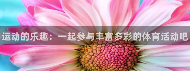 MK体育官方平台体育：运动的乐趣：一起参与丰富多彩的体育活动