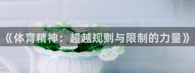 MK体育官方正版app集团简介：《体育精神：超越规则