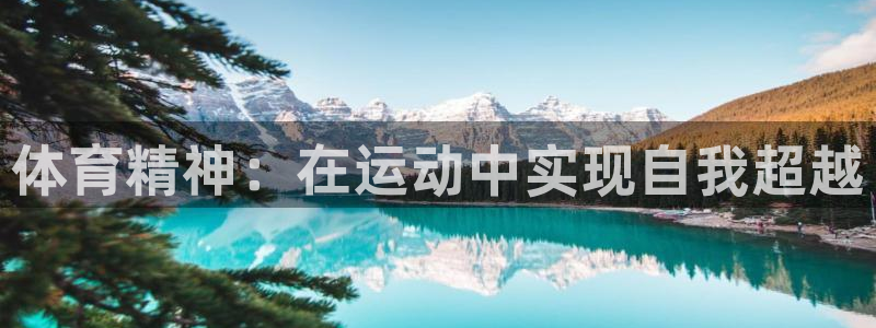 MK体育官方正版app集团简介：体育精神：在运动中实