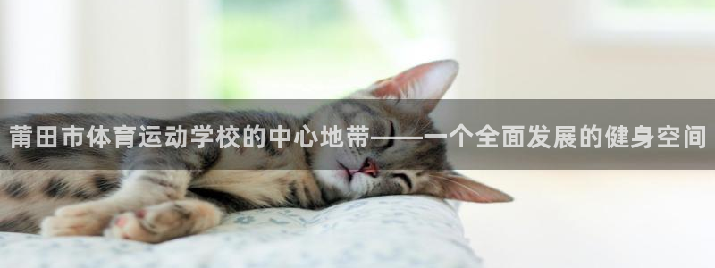 MK体育官网下载平台注册流程图：莆田市体育运动学校的