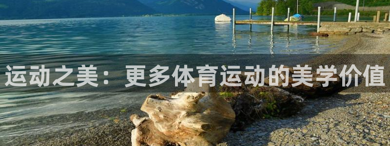 MK体育官方正版app娱乐：运动之美：更多体育运动的