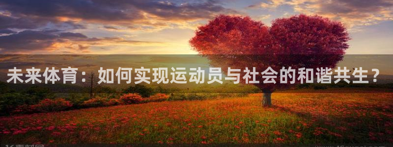 MK体育官方正版app新能源：未来体育：如何实现运动