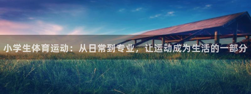 MK体育官方正版app娱乐首页网站大全：小学生体育运
