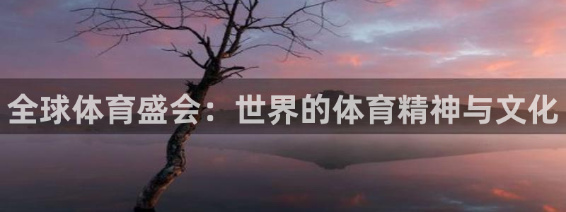 MK体育官网下载平台APP：全球体育盛会：世界的体育