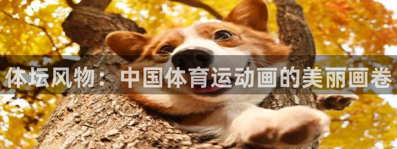 MK体育官方正版app娱乐网站：体坛风物：中国体育运