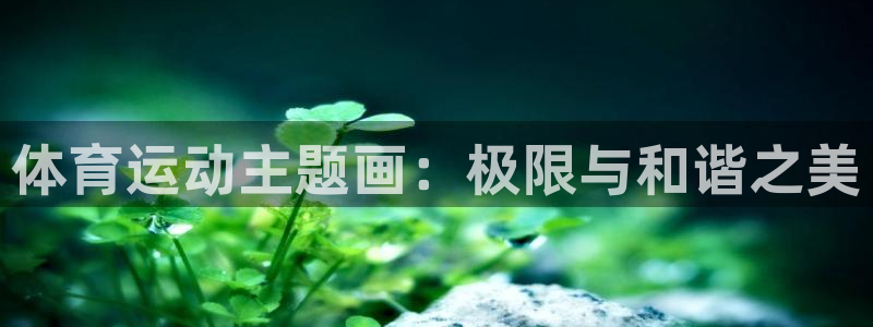 MK体育官网下载招商电话地址：体育运动主题画：极限与