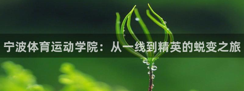 MK体育官网下载平台注册：宁波体育运动学院：从一线到