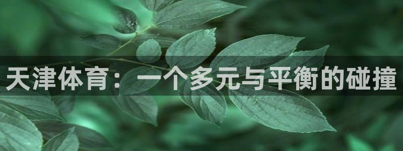 MK体育官网下载招商电话地址查询：天津体育：一个多元