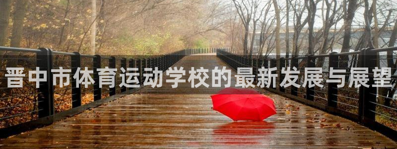 MK体育官方正版app集团logo