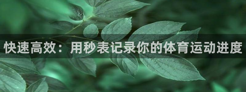 MK体育官网下载官方客服电话：快速高效：用秒表记录你的体育运