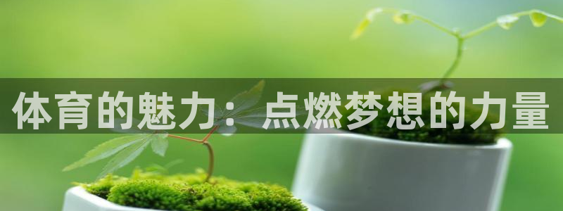 MK体育官方正版app集团logo：体育的魅力：点燃梦想的力