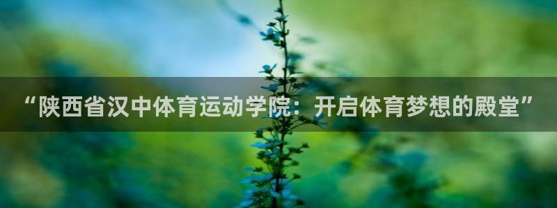 MK体育官网下载开户：“陕西省汉中体育运动学院：开启体育梦想