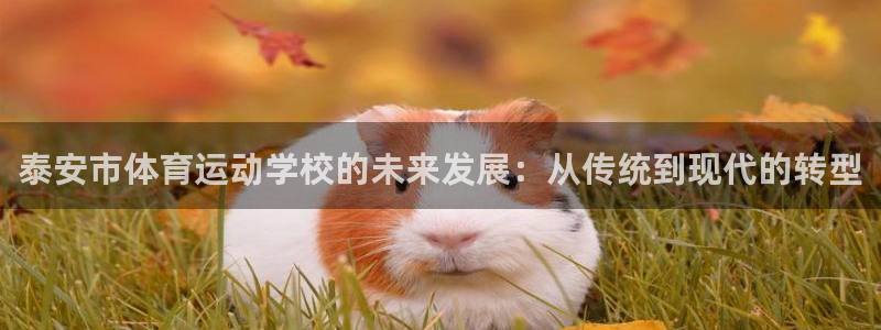 MK体育官方正版app集团logo：泰安市体育运动学校的未来