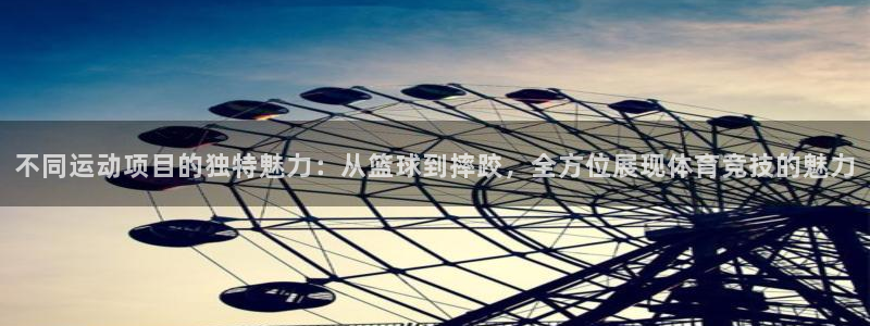 MK体育官方正版app代理