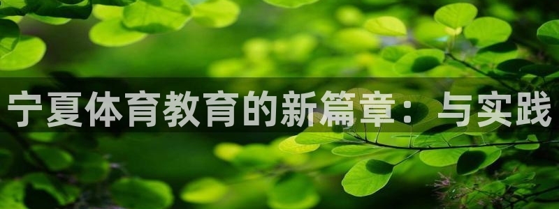 MK体育官网下载招商电话是多少啊：宁夏体育教育的新篇章：与实