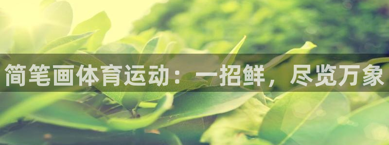 MK体育官方正版app娱乐：简笔画体育运动：一招鲜，尽览万象