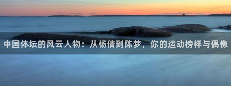 MK体育官方正版app集团简介