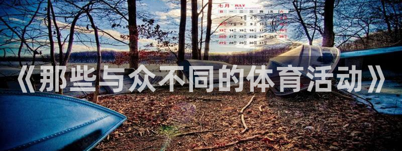 MK体育官网下载是干嘛的公司:《那些与众不同的体育活动》