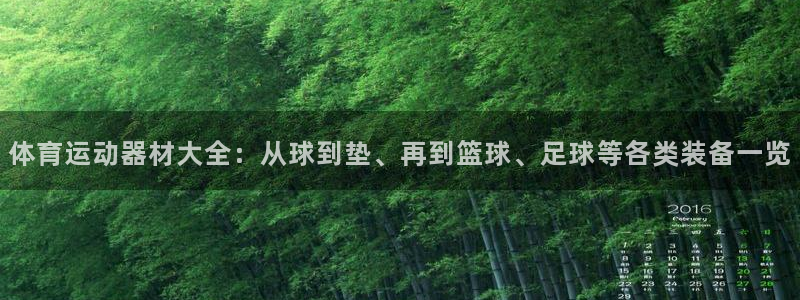 MK体育官方正版app代理:体育运动器材大全:从球到垫、再到