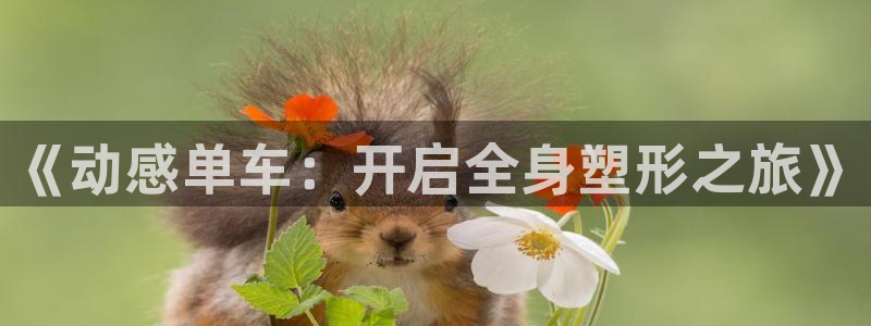 MK体育官方正版app娱乐网站:《动感单车:开启全身塑形之旅